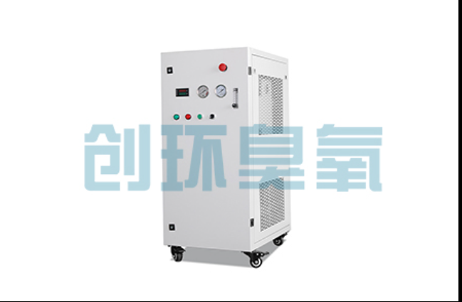 黔东南工厂化养鲈必看：2026年臭氧发生器替代传统消毒的最新方案
