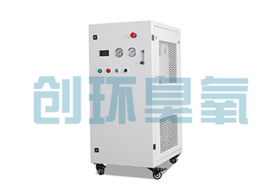黔东南石斑鱼养殖水质调控完整指南:臭氧发生器配置与操作步骤