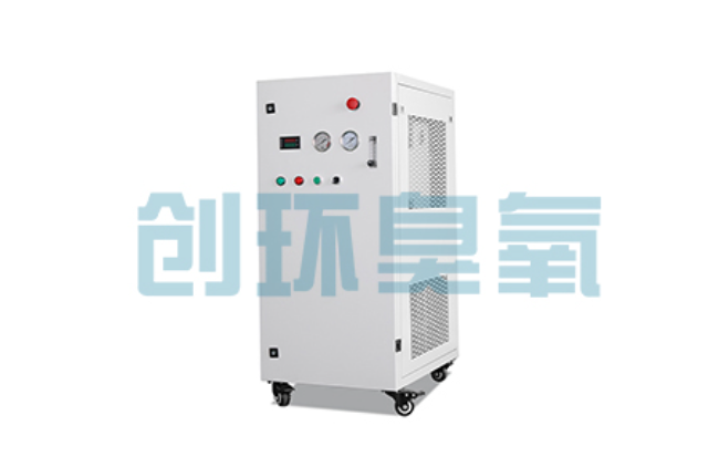 黔东南比传统换水更高效?臭氧发生器在石斑鱼养殖中的水质净化原理解析