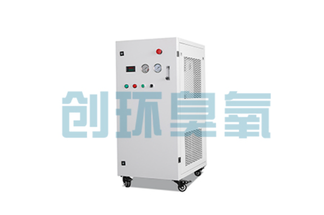 黔东南比传统换水更高效?臭氧发生器在石斑鱼养殖中的水质净化原理解析